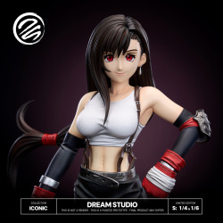 Final Fantasy VII Tifa Dream Studio